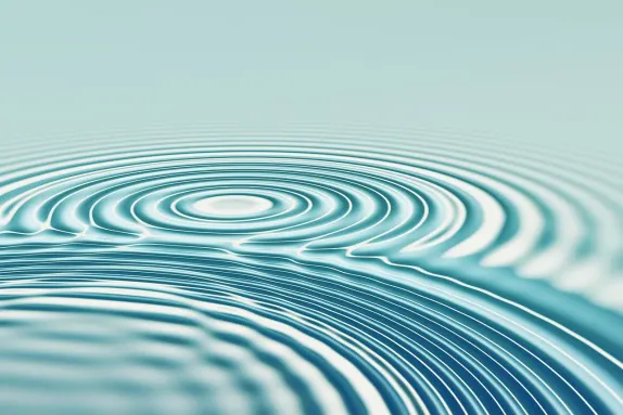 카지노 코인 플레이 지원